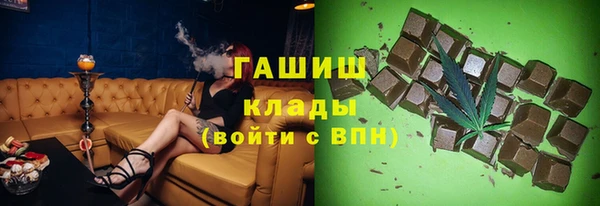 хмурый Абаза