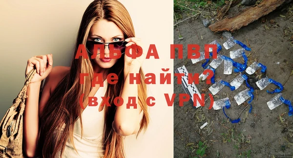 хмурый Абаза