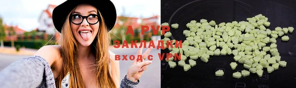 хмурый Абаза