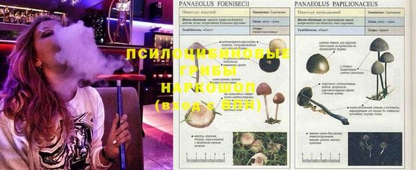 гидра Абинск