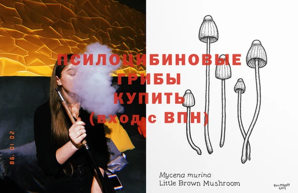 хмурый Абаза