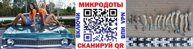 Псилоцибиновые грибы ЛСД ОМГ ОМГ ссылки Химки